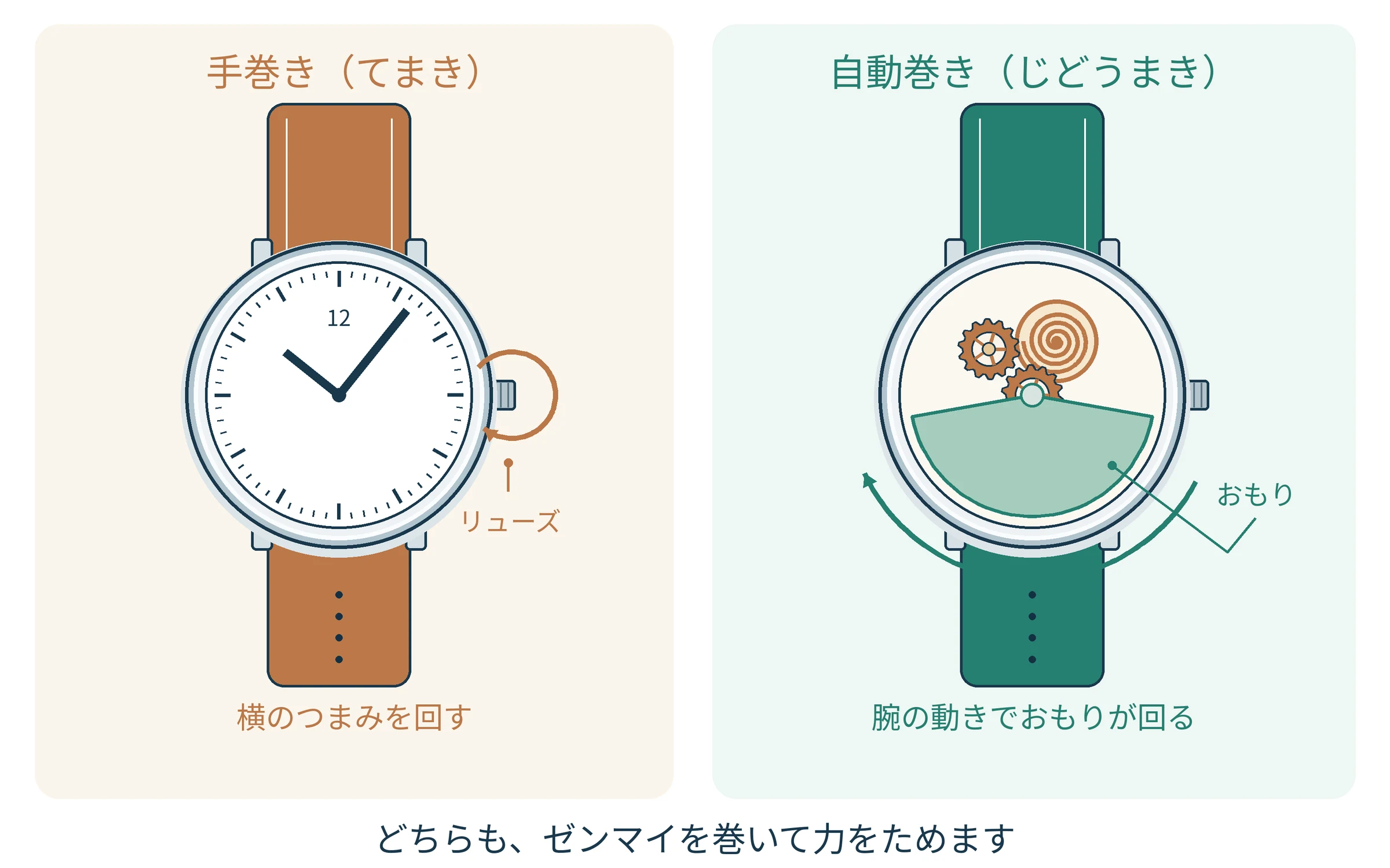 手巻きは時計の横のつまみを回し、自動巻きは腕の動きで中のおもりを回す。どちらもゼンマイを巻く図。