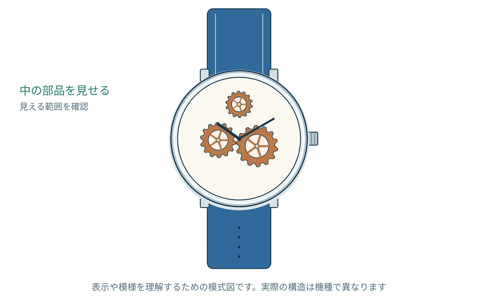内部を見せるデザインを理解するための図です。実際の形や表示は機種で異なります。