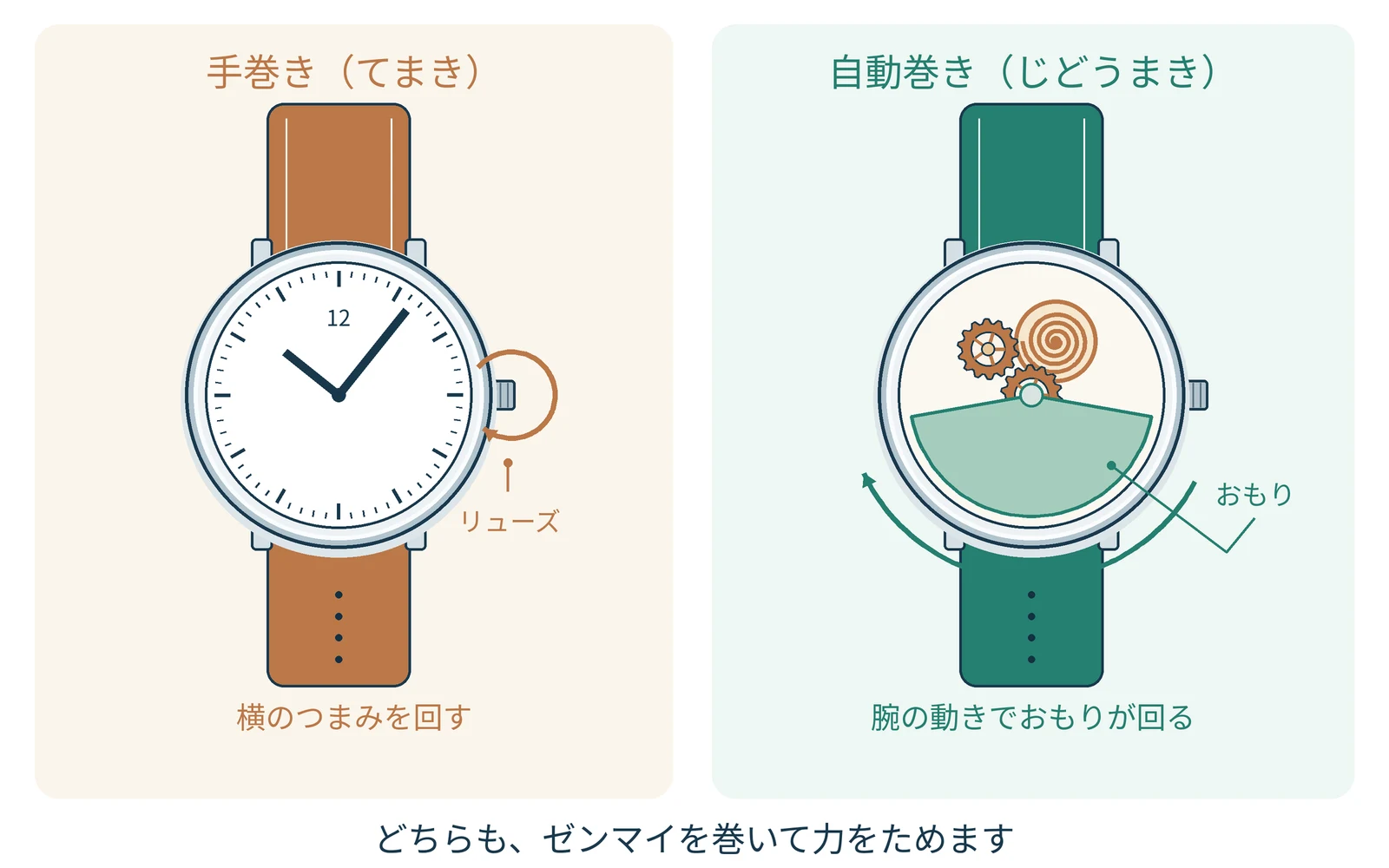 巻く方法が違っても、ためるのはゼンマイの力です。