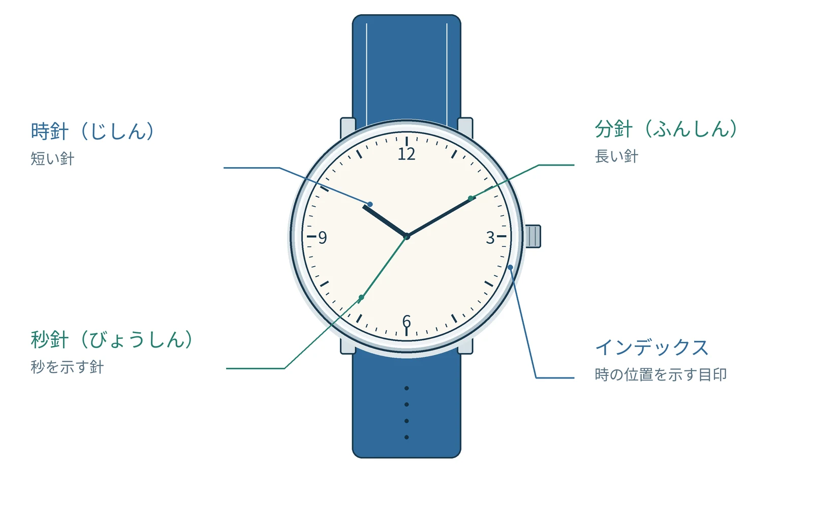 文字盤の英語を理解するための図です。実際の形や表示は機種で異なります。