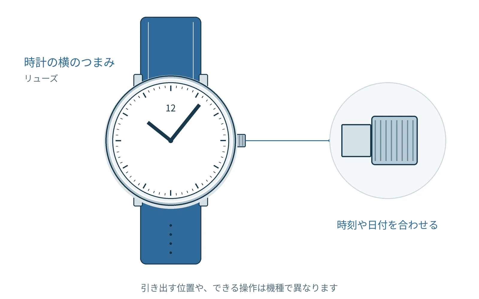 リューズの位置と役割を大きく描いています。