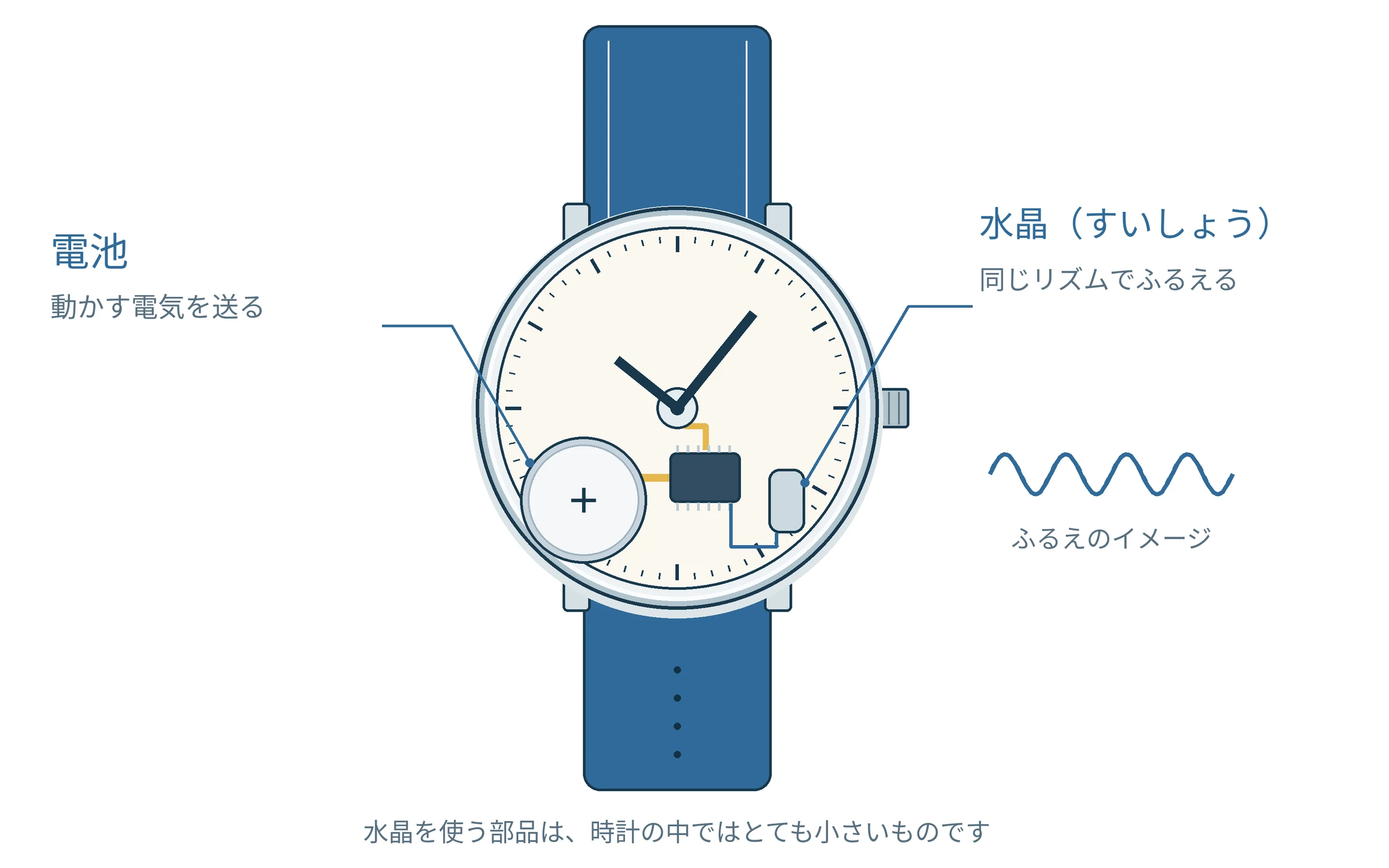 電池式クォーツ腕時計の中のイメージ。電池が動かす電気を送り、水晶の部品が同じリズムの合図をつくる。