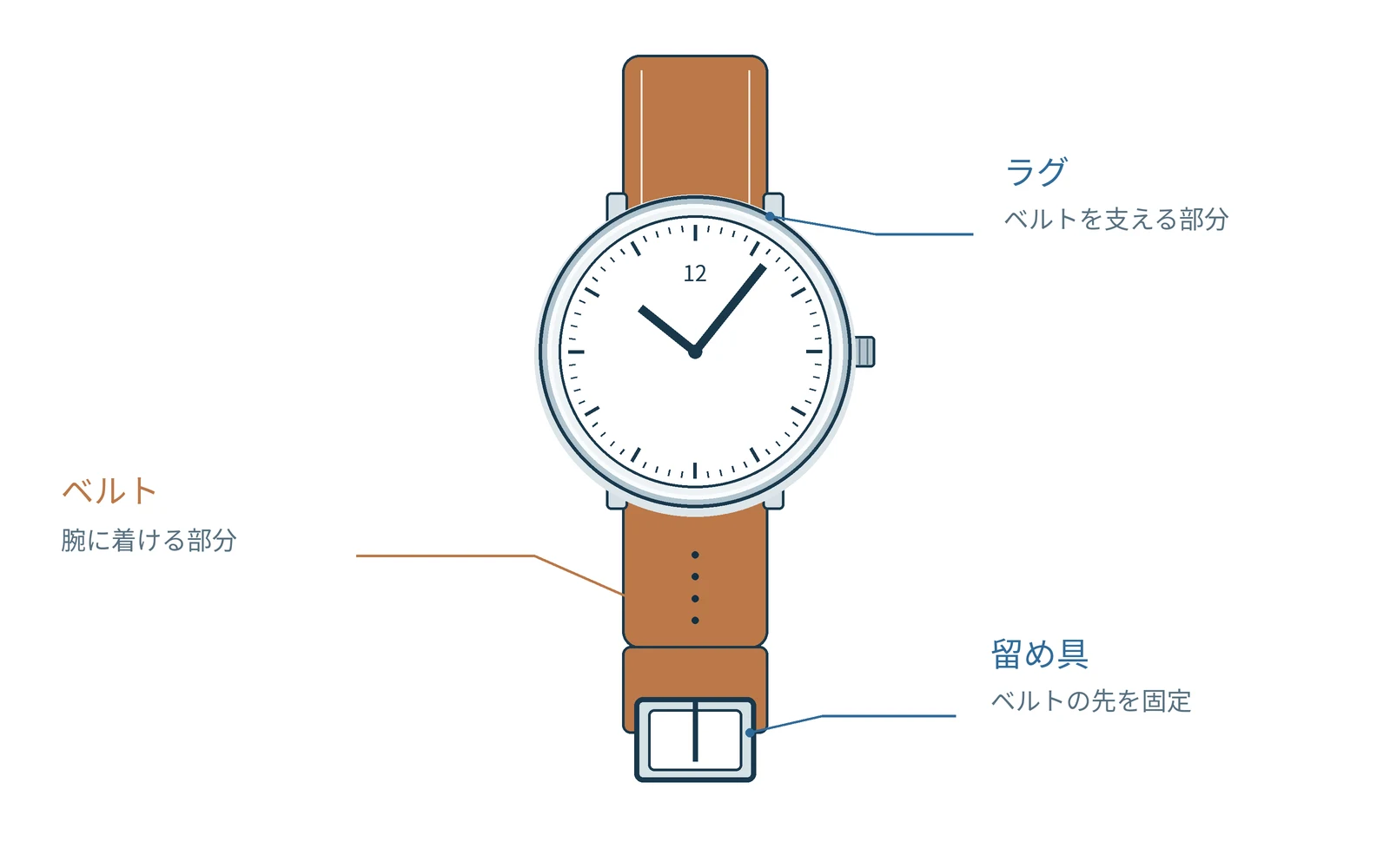 ベルトは時計を腕に保ち、留め具が輪を閉じます。