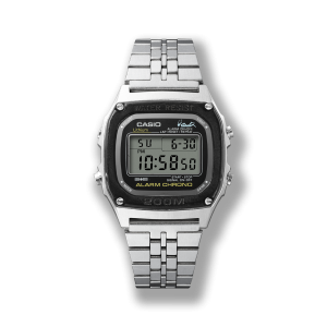 CASIO DW-1000 商品画像