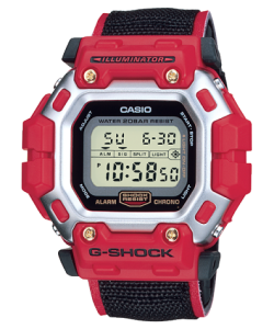 G-SHOCK DW-8300BG-1 商品画像