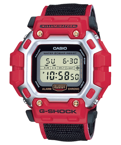 G-SHOCK DW-8300BG-1 商品画像