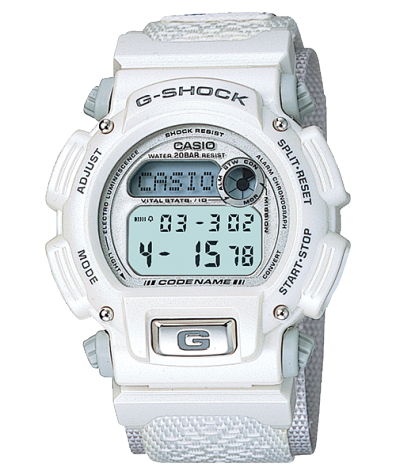 G-SHOCK DW-8800AJ-8T 商品画像