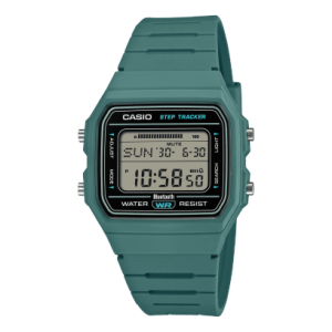 CASIO Collection F-B100W-3AJF 商品画像