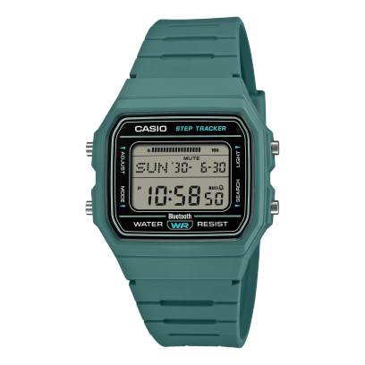 CASIO Collection F-B100W-3AJF 商品画像