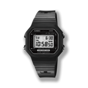CASIO W-100 商品画像