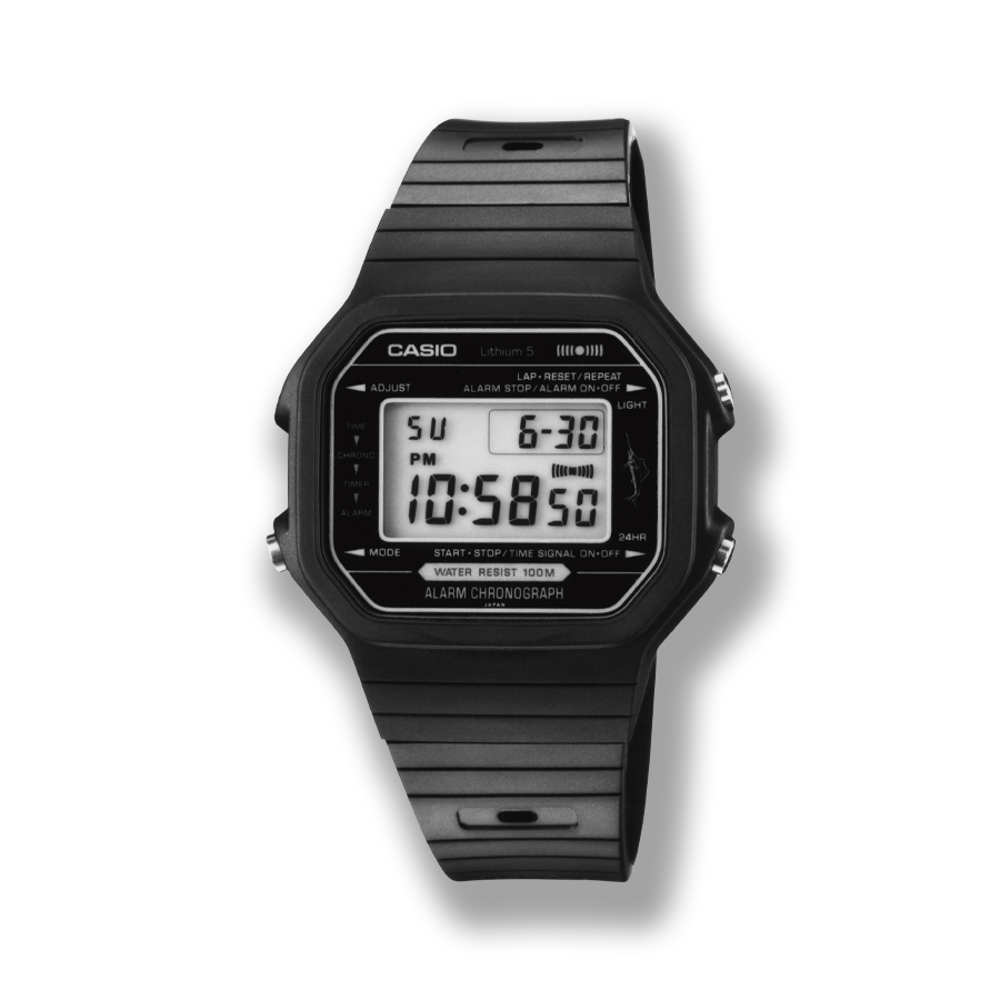 CASIO W-100 商品画像